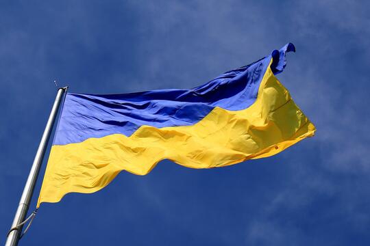 Ukraina Flagg